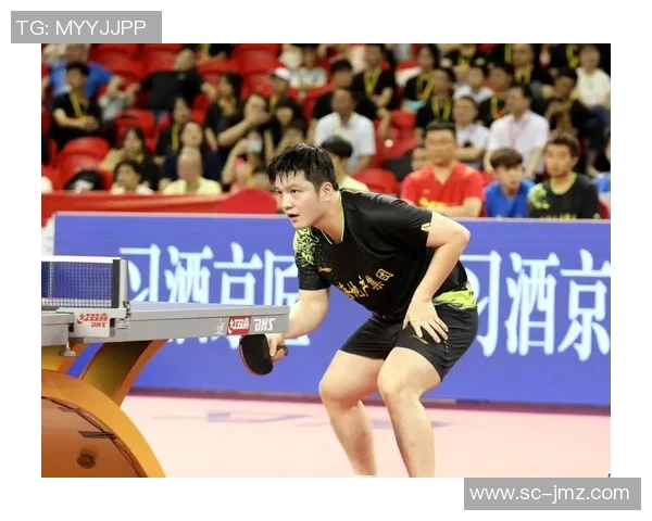 广州乒乓球队在联赛中的技术表现分析与未来发展展望 广州乒乓球队在联赛中的技术表现分析与未来发展展望