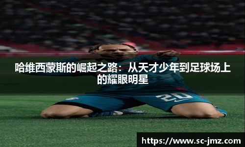 奇异果体育